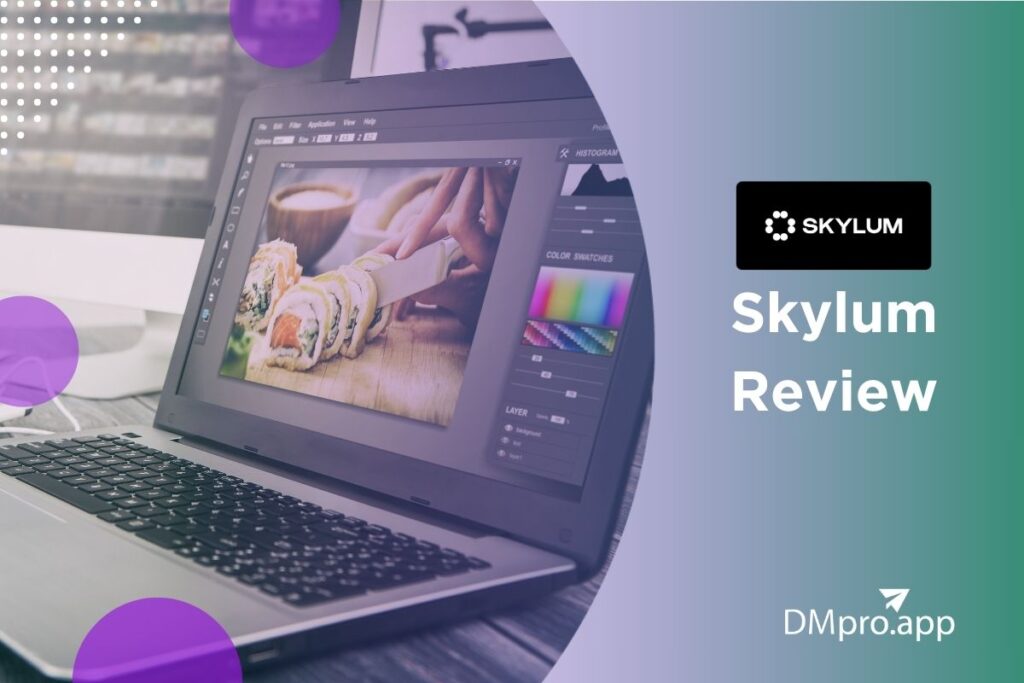 Skylum review
